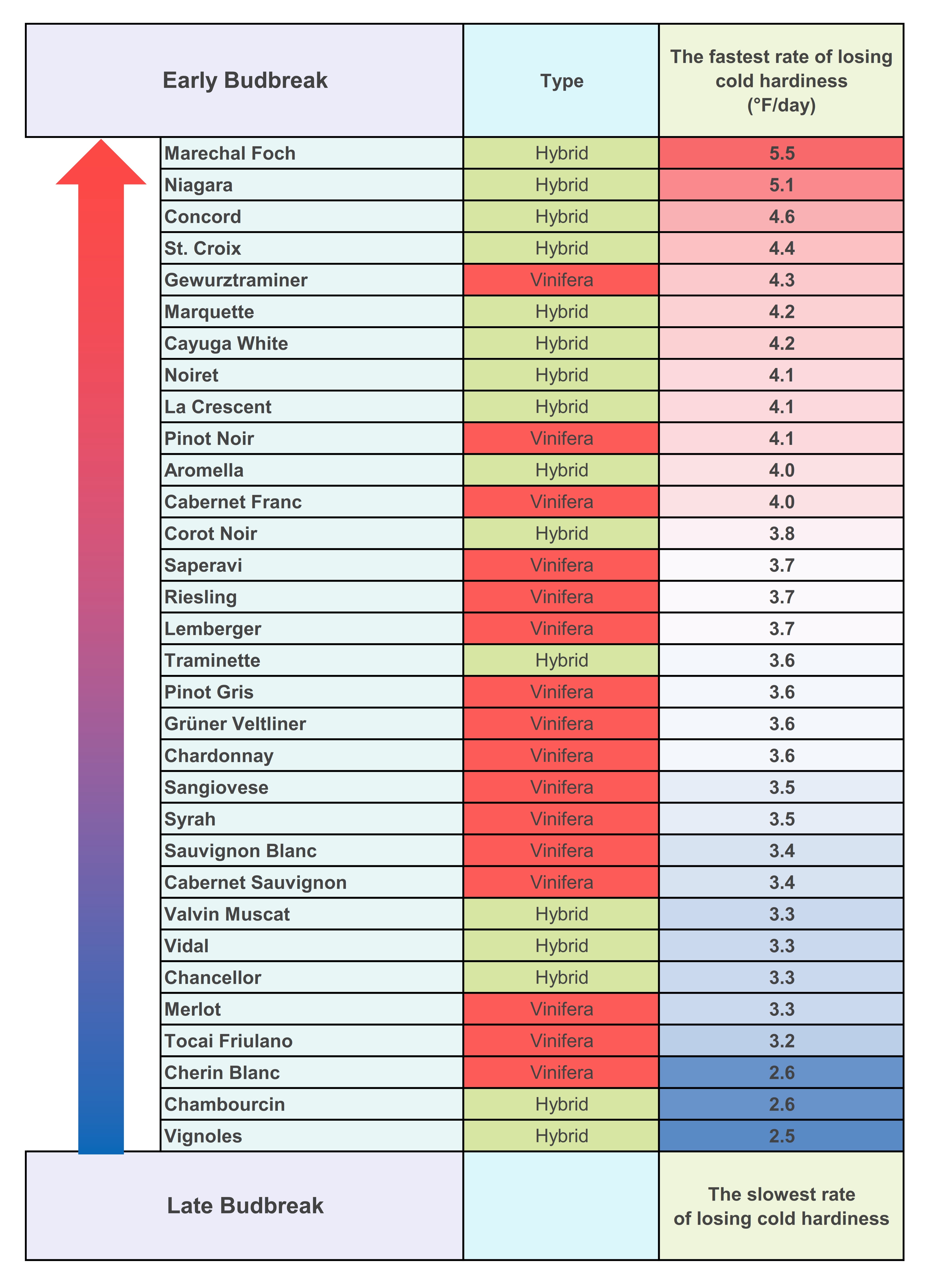 A table ranking grapevine varieties based on budbreak timing and cold hardiness loss rate.